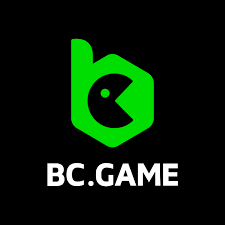 Comprehensive Guide to Withdrawal Options at BC.Game
